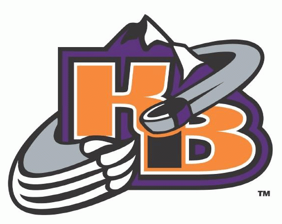 knoxville ice bears 2004-pres alternate logo iron on transfers for T-shirts